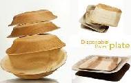 Coir Fiber