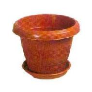 Coir Fiber