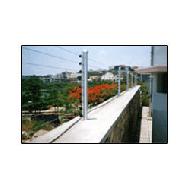 Coir Fiber
