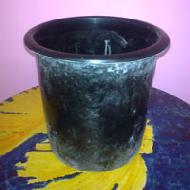 Coir Fiber