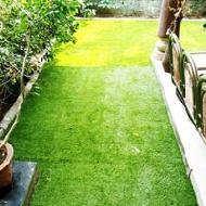 Coir Fiber