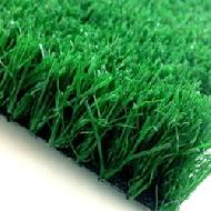 Coir Fiber