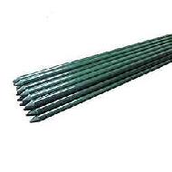 Coir Fiber