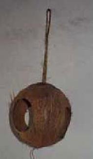 Coir Fiber