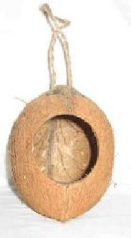 Coir Fiber