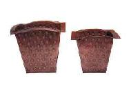 Coir Fiber