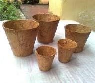 Coir Fiber