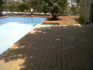 Coir Fiber