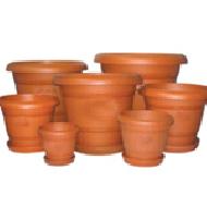 Coir Fiber