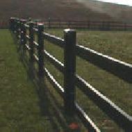 Coir Fiber