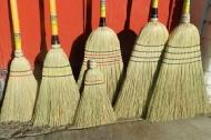 Coir Fiber