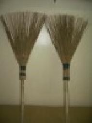 Coir Fiber
