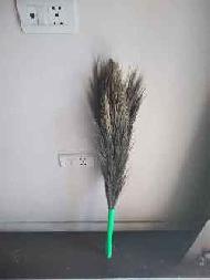 Coir Fiber