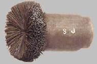 Coir Fiber