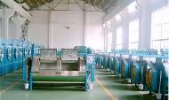 Coir Fiber