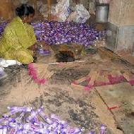 Coir Fiber