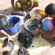 Coir Fiber