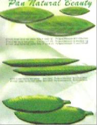 Coir Fiber