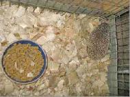 Coir Fiber