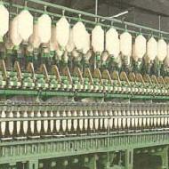 Coir Fiber
