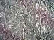 Coir Fiber