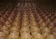 Coir Fiber