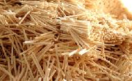 Coir Fiber
