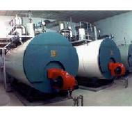 Coir Fiber