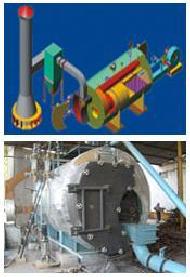 Coir Fiber