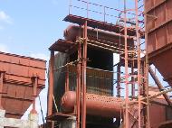 Coir Fiber