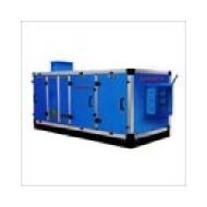 Coir Fiber