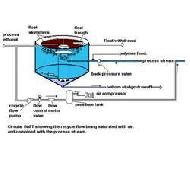Coir Fiber