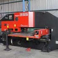 Coir Fiber
