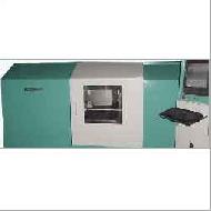 Coir Fiber