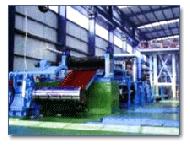 Coir Fiber
