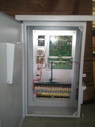 Coir Fiber