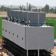 Coir Fiber