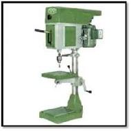 Coir Fiber