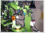 Coir Fiber
