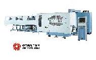 Coir Fiber