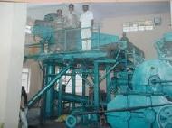 Coir Fiber