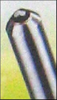 Coir Fiber