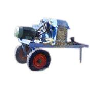 Coir Fiber