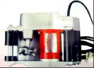 Coir Fiber