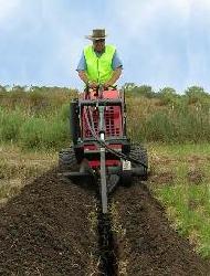 Coir Fiber