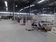 Coir Fiber