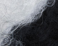 Coir Fiber