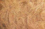 Coir Fiber