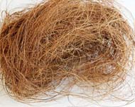 Coir Fiber