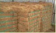 Coir Fiber